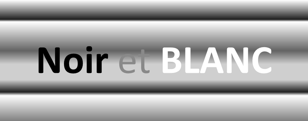 Noir et Blanc affiche