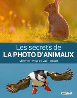 Les secrets de la photo d animaux