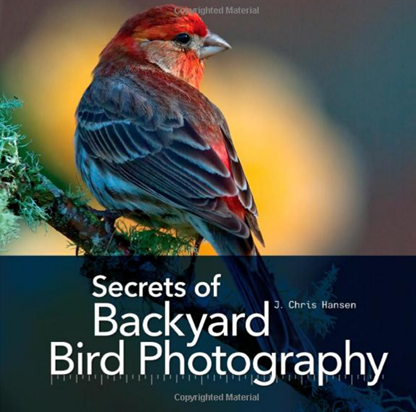 Secrets of Backyard Bird Photography