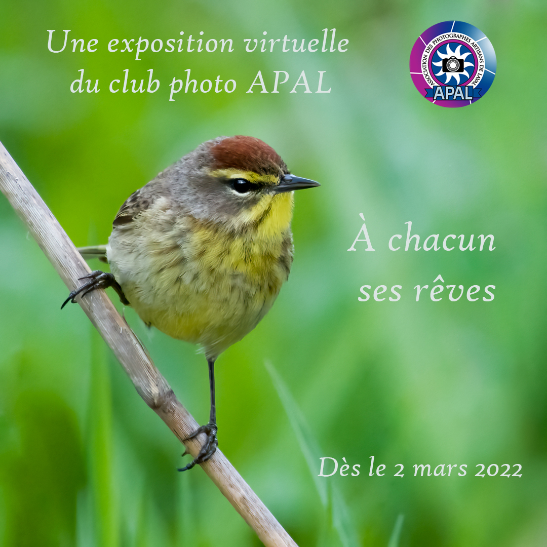 Affiche Expo Printemps 2022 1080 300