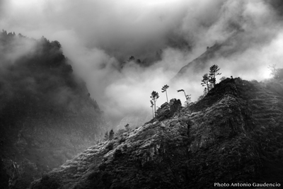 Madeira Island Portugal HD2 web