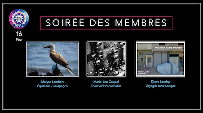 Soirée des membres web