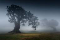 Carole Chalut Nature