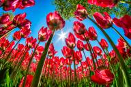 Dany Langevin Nature