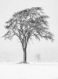 Marin Bogdan Tempête