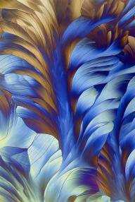 Berube Diane Deploiement de petales