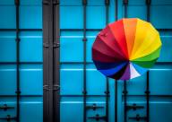 Bourgault Pierre Bleu noir et les autres