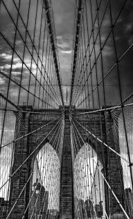 Bourgault Pierre Spiderweb