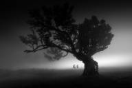 Chalut Carole Le temps qui passe