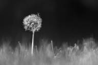 Dufour Yves Éphémère