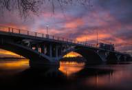 Pilon Sylvie Entre chien et loup