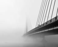 Tonietto Pierre Entre deux mondes