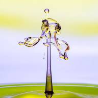 Guevremont Jocelyn La pieuvre