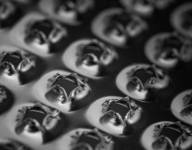 Pilon Sylvie Bouches bees