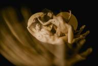 Guevremont Jocelyn Voyage