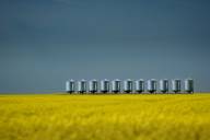 Cyr Daniel Silos en serie