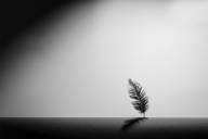 Girard Francine Geometrie plumeuse