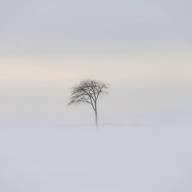 Martineau Josée Solitude