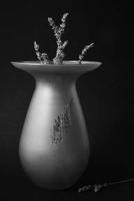 Robert Yves Petites fleurs sechees