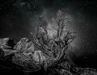 Aboukheir Fady Le Nevada