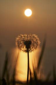 Germain Stéphane Nature matinale