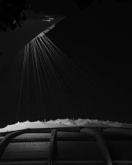 Grégoire Charles Pommeau de douche olympien